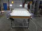 Safeline Metal Detector Model Sl2000